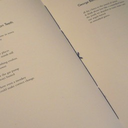 Schizzo - Tangerine Press