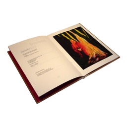 Howard Cunnell — The Disappearing of Terry Godden — Tangerine Press
