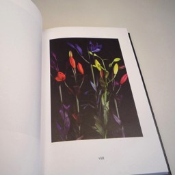 Kevin Cummins — Ian Curtis: Memento Mori — Tangerine Press