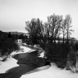 WUD - Alexander Binder - Ellie Davies - Grant Willing - Jonathan Illingworth - Riddley Walker - Russell Hoban