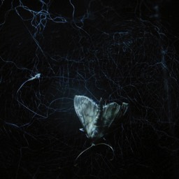 WUD - Alexander Binder - Ellie Davies - Grant Willing - Jonathan Illingworth - Riddley Walker - Russell Hoban