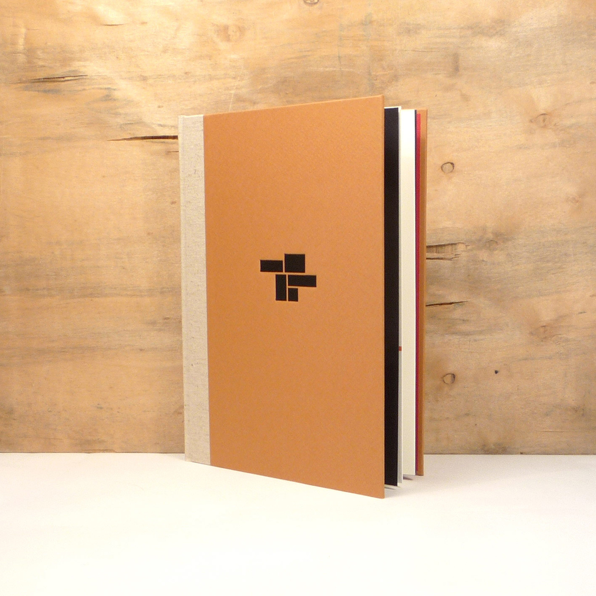 Mick Guffan — The Gamble of Daylight — Tangerine Press