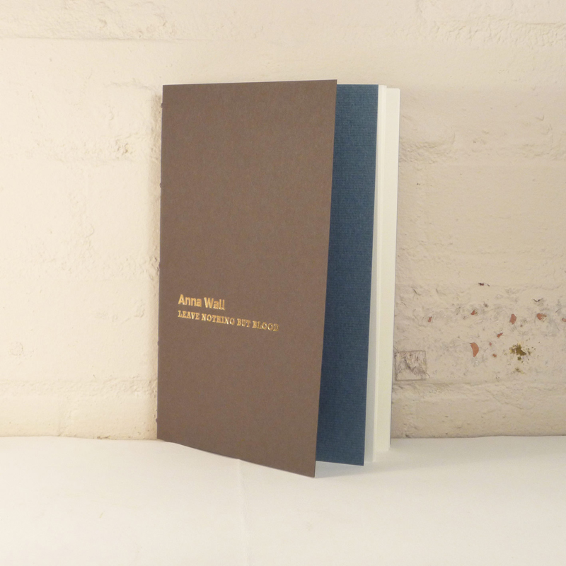 Ann Wall — Leave Nothing But Blood — Tangerine Press