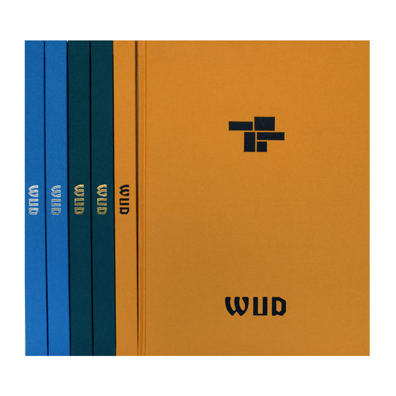 Alexander Binder - Ellie Davies - Jonathan Illngworth - Grant Willing —WUD